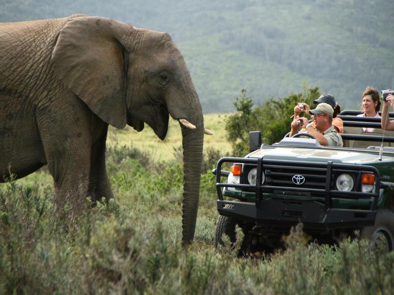 Kariega Game Reserve Bushman's River Mouth Экстерьер фото